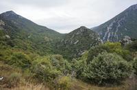 Cjp_2014_09_30_072726.jpg