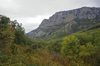 Cjp_2014_09_30_073420.jpg