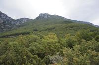 Cjp_2014_09_30_073704.jpg
