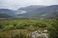 Cjp_2014_09_30_080810.jpg