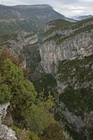 Cjp_2014_09_30_082512.jpg