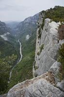 Cjp_2014_09_30_084248.jpg