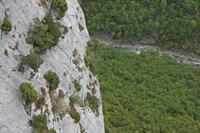 Cjp_2014_09_30_084722.jpg