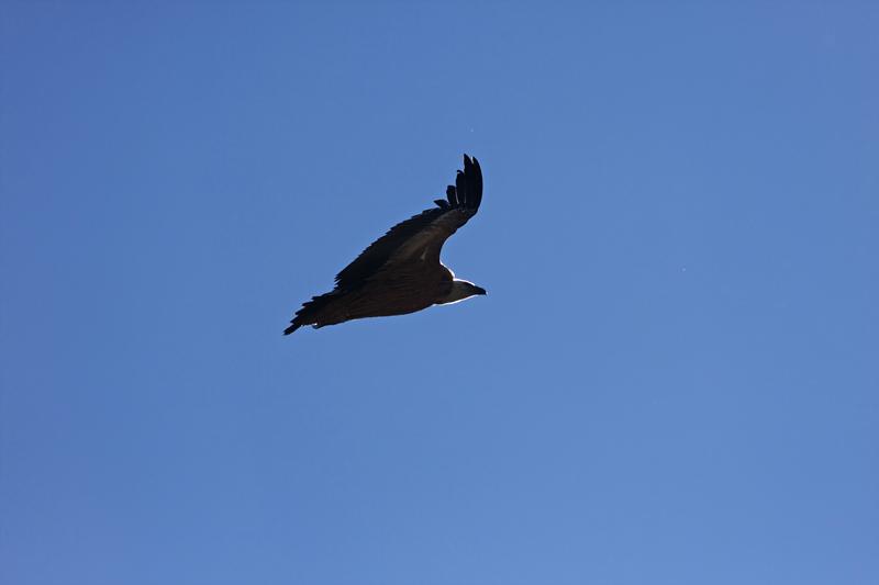 Cjp_2014_10_01_090040.jpg