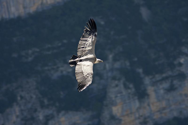 Cjp_2014_10_01_090150.jpg
