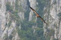 Cjp_2014_09_30_110006.jpg