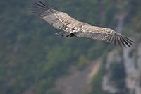 Cjp_2014_09_30_110154.jpg