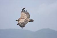 Cjp_2014_09_30_111548.jpg