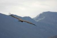 Cjp_2014_09_30_144726.jpg