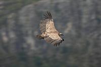 Cjp_2014_09_30_145126.jpg