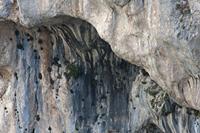 Cjp_2014_10_01_060454.jpg