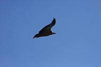 Cjp_2014_10_01_090040.jpg