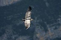 Cjp_2014_10_01_090150.jpg
