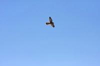 Cjp_2014_10_01_091332.jpg