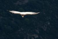 Cjp_2014_10_01_091854.jpg