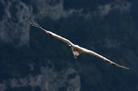 Cjp_2014_10_01_091906.jpg