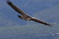Cjp_2014_10_01_091918.jpg