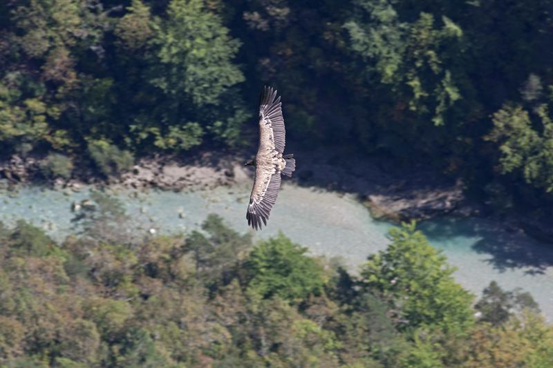 Cjp_2014_10_01_111744.jpg