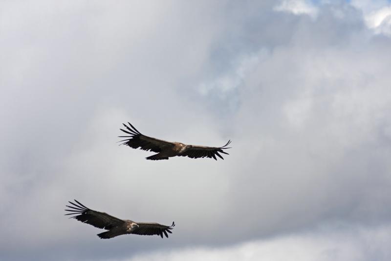 Cjp_2014_10_01_113118.jpg