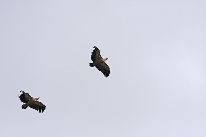 Cjp_2014_10_01_123342.jpg