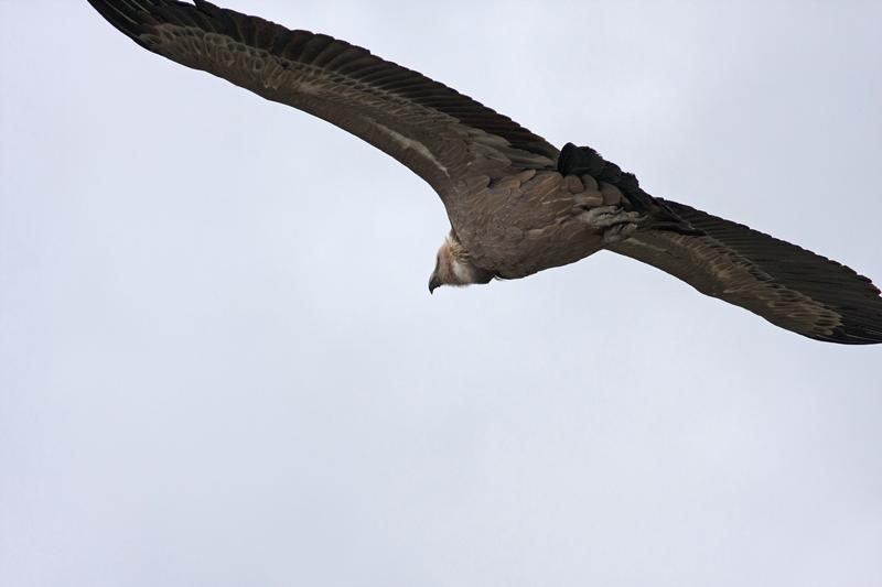 Cjp_2014_10_01_124050.jpg