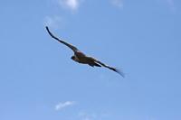 Cjp_2014_10_01_091926.jpg
