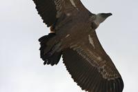 Cjp_2014_10_01_091930.jpg
