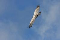 Cjp_2014_10_01_091932.jpg