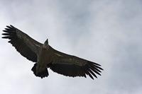 Cjp_2014_10_01_091952.jpg