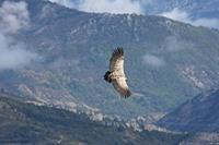 Cjp_2014_10_01_092220.jpg