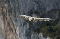 Cjp_2014_10_01_092230.jpg
