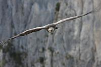 Cjp_2014_10_01_093452.jpg