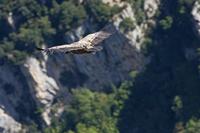 Cjp_2014_10_01_110436.jpg