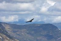 Cjp_2014_10_01_111226.jpg