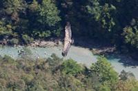 Cjp_2014_10_01_111744.jpg