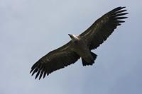 Cjp_2014_10_01_113128.jpg