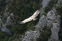 Cjp_2014_10_01_115402.jpg