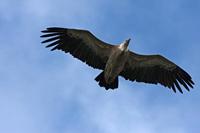 Cjp_2014_10_01_120554.jpg