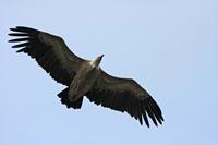 Cjp_2014_10_01_120556.jpg