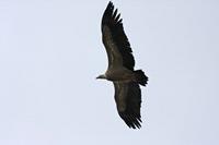 Cjp_2014_10_01_120850.jpg