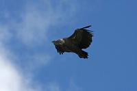 Cjp_2014_10_01_120922_2.jpg