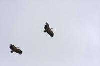 Cjp_2014_10_01_123342.jpg