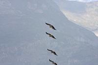 Cjp_2014_10_01_123510.jpg
