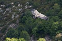 Cjp_2014_10_01_124016.jpg