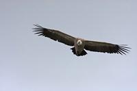 Cjp_2014_10_01_124034.jpg