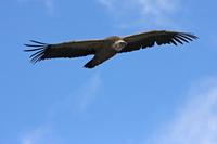 Cjp_2014_10_01_124044.jpg