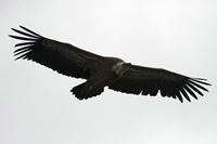 Cjp_2014_10_01_124046.jpg