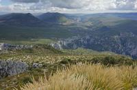 Cjp_2014_10_01_130158.jpg