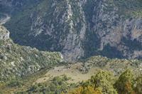 Cjp_2014_10_01_130638.jpg
