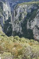 Cjp_2014_10_01_132626.jpg